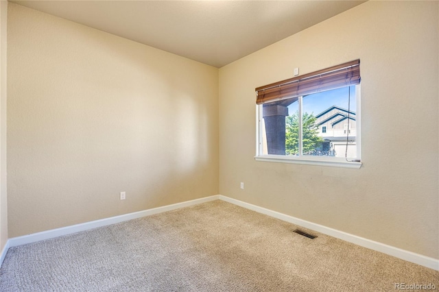 6687 Stingray Ln, Colorado Springs, CO 80925 - photo 4