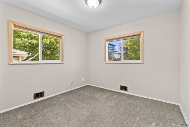 2101 Youngfield St, Golden, CO 80401 - empty room with healthy amount of natural light and carpet flooring