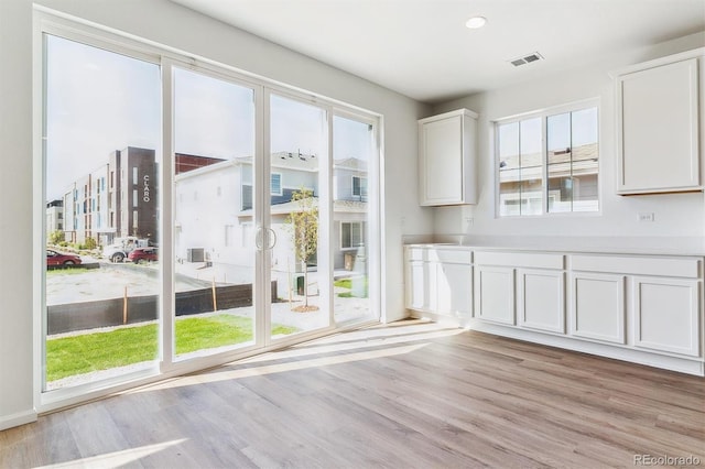 interior space with a healthy amount of sunlight and light hardwood / wood-style floors