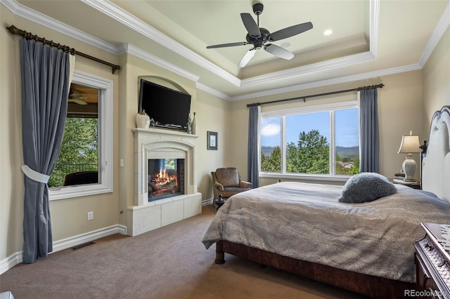 2378 Plumb Pl, Erie, CO 80516 - bedroom featuring a tray ceiling, multiple windows, a tile fireplace, carpet floors, and crown molding