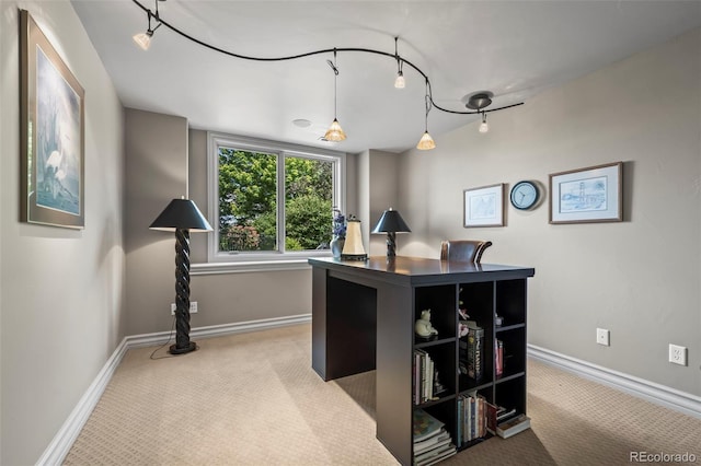 2378 Plumb Pl, Erie, CO 80516 - office space with carpet floors