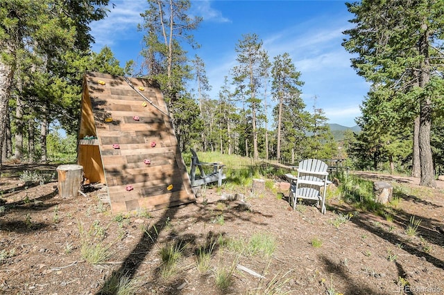 6979 Weasel Way, Evergreen, CO 80439 - photo 40