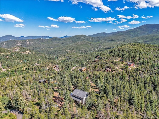 6979 Weasel Way, Evergreen, CO 80439 - photo 48