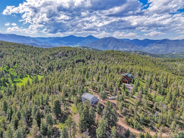 6979 Weasel Way, Evergreen, CO 80439 - photo 49