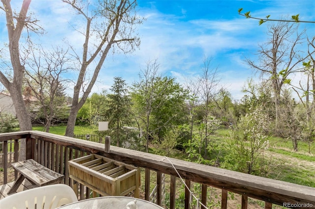 683 Sunnyside St, Louisville, CO 80027 - photo 29