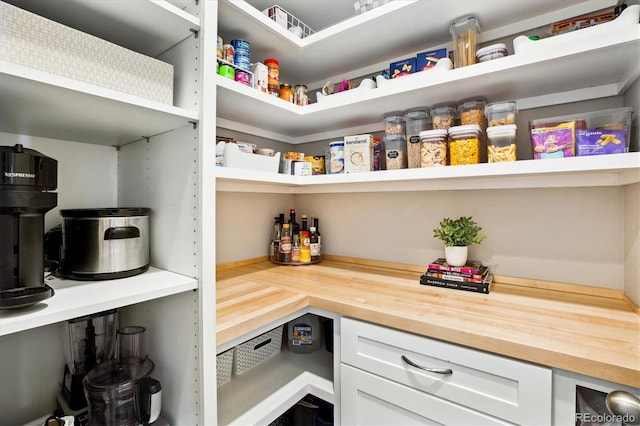 8102 Adams Fork Ave, Littleton, CO 80125 - view of pantry