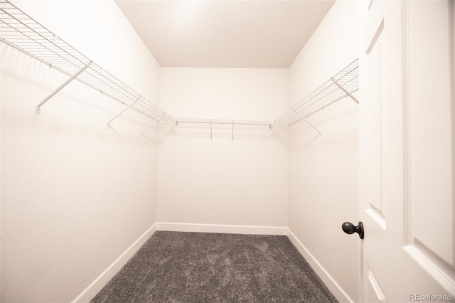 spacious closet with carpet floors