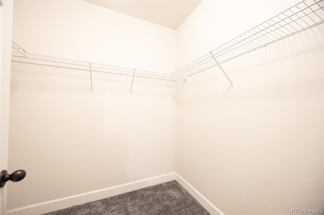walk in closet with dark colored carpet