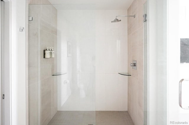 bathroom featuring a shower stall