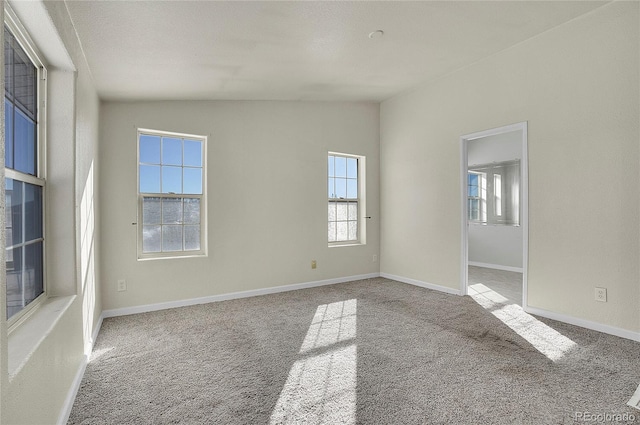 carpeted empty room with plenty of natural light and lofted ceiling