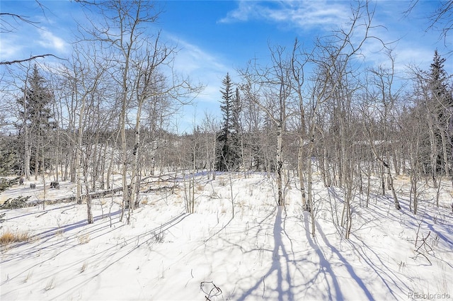 view of snowy landscape