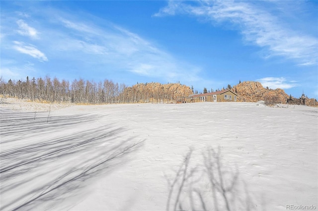 view of yard layered in snow