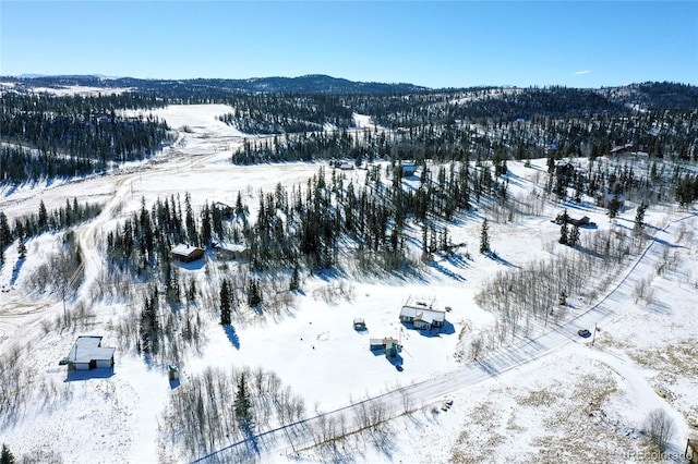 snowy aerial view featuring a mountain view