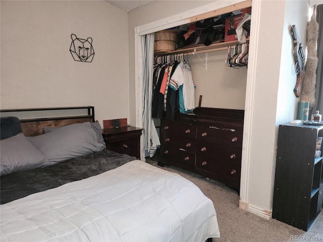 160 Shannon Ct, Rockvale, CO 81244 - bedroom featuring carpet floors and a closet
