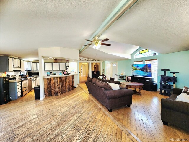 160 Shannon Ct, Rockvale, CO 81244 - living area with light wood-style flooring, a textured ceiling, and a ceiling fan