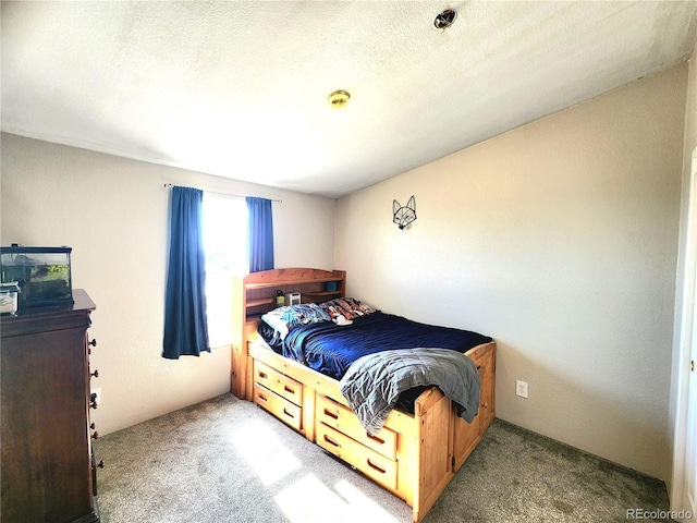 160 Shannon Ct, Rockvale, CO 81244 - bedroom featuring carpet