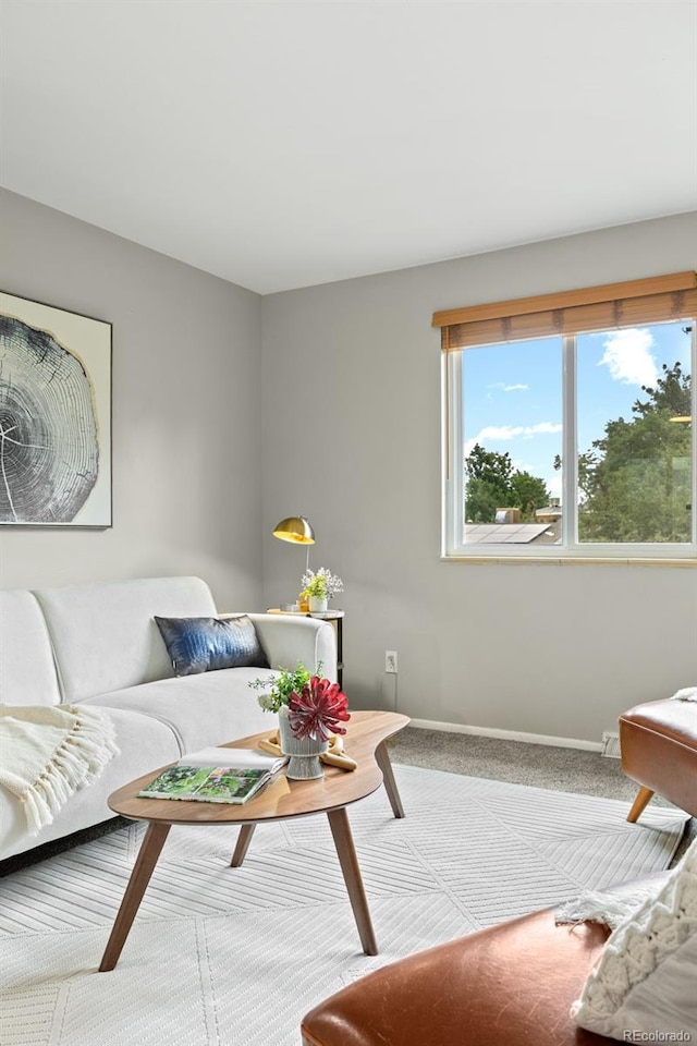 171 Orchard St, Golden, CO 80401 - photo 10
