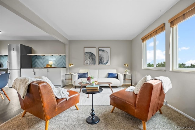 171 Orchard St, Golden, CO 80401 - photo 12