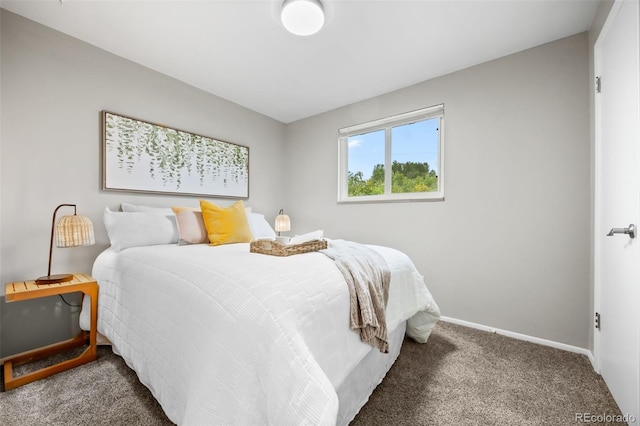 171 Orchard St, Golden, CO 80401 - photo 24