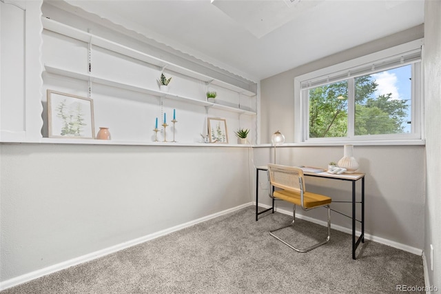 171 Orchard St, Golden, CO 80401 - photo 35