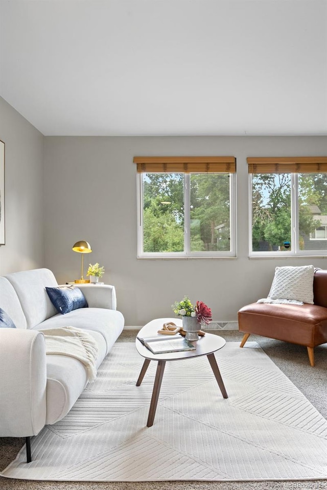 171 Orchard St, Golden, CO 80401 - photo 8