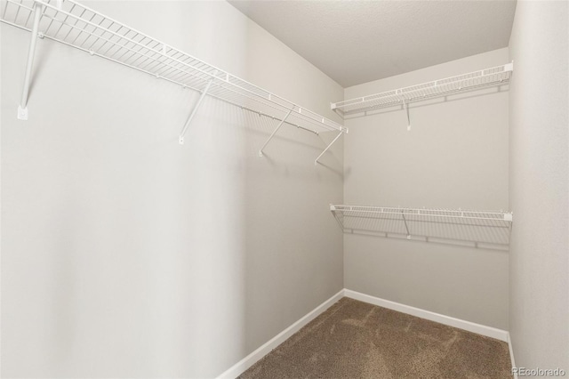 1047 Tyre Hts, Colorado Springs, CO 80916 - photo 21
