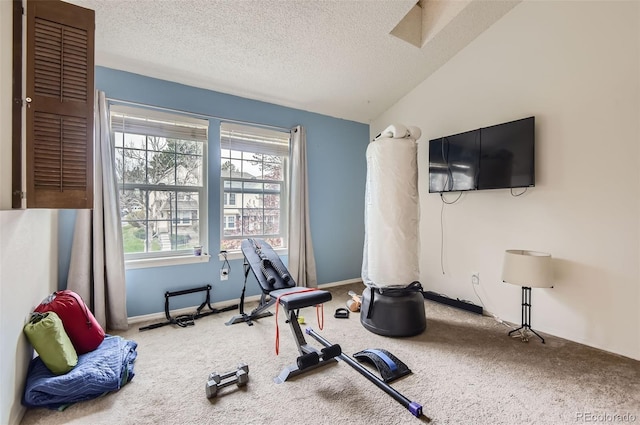 workout room with carpet flooring, a textured ceiling, baseboards, and lofted ceiling