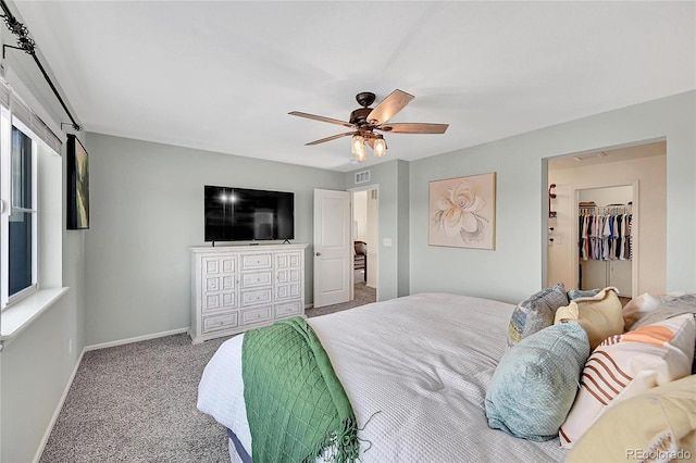 carpeted bedroom featuring ceiling fan and a walk in closet