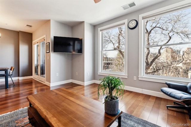 living room with a healthy amount of sunlight and wood-type flooring