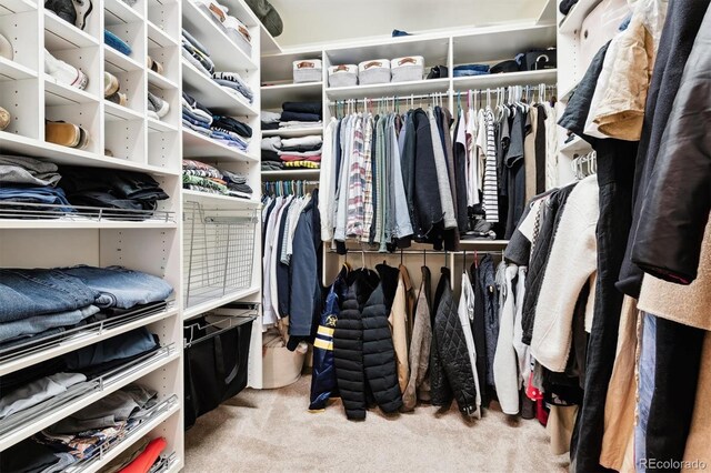 walk in closet with light carpet