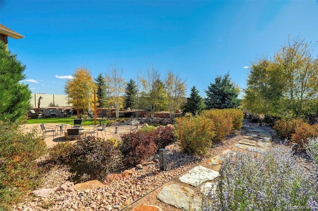 view of yard featuring a patio