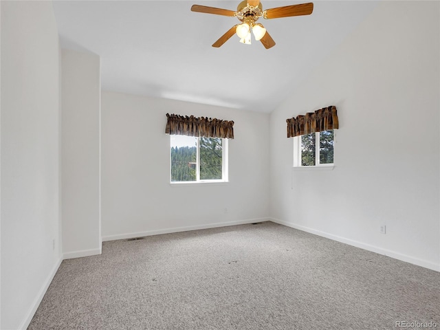 367 Moore St, Bailey, CO 80421 - photo 16