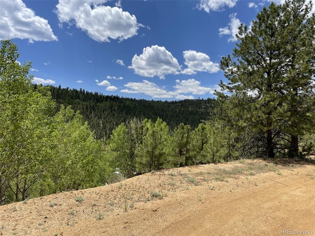 367 Moore St, Bailey, CO 80421 - photo 26