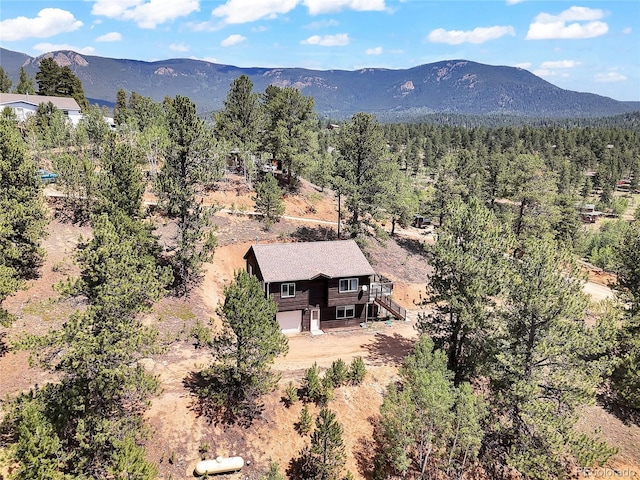 367 Moore St, Bailey, CO 80421 - photo 28