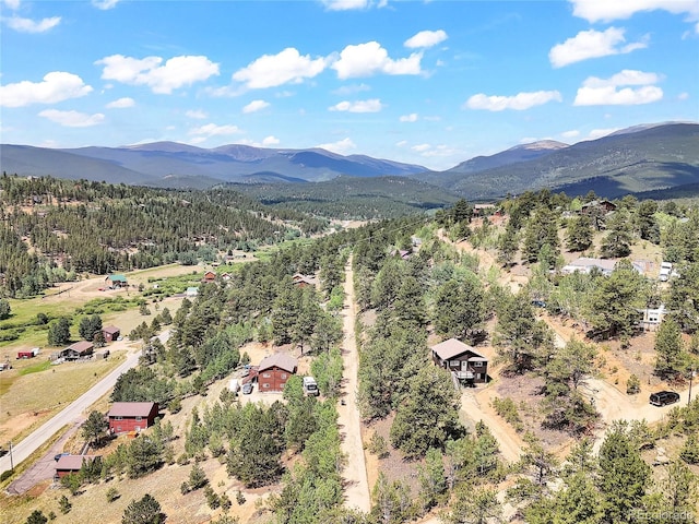 367 Moore St, Bailey, CO 80421 - photo 31