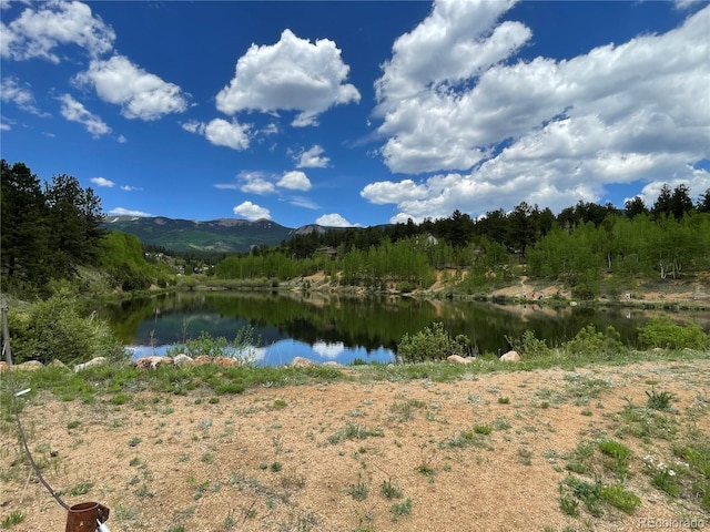 367 Moore St, Bailey, CO 80421 - photo 32