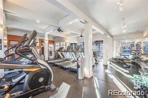 gym featuring ceiling fan and track lighting