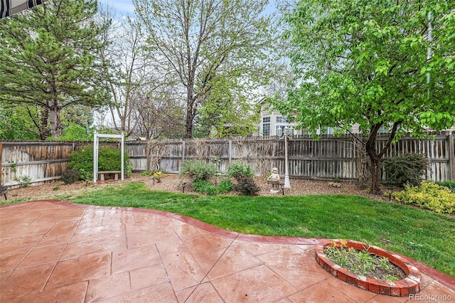view of yard featuring a patio