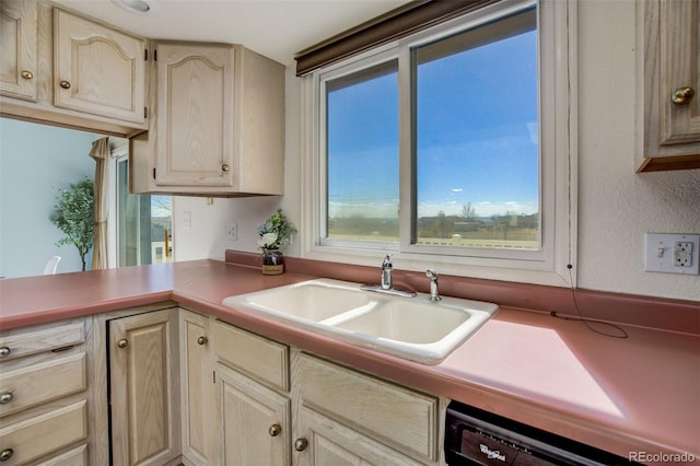 kitchen with black dishwasher and a sink