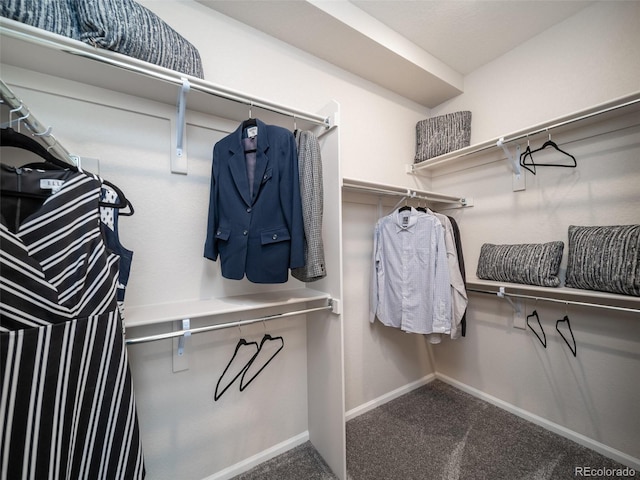 walk in closet with carpet