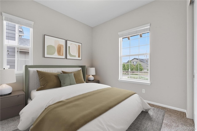 9781 Eagle River St, Littleton, CO 80125 - photo 27