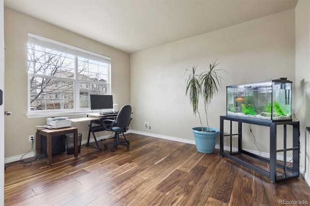 office space with baseboards and wood finished floors