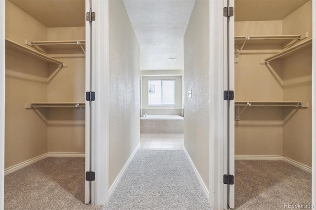spacious closet with carpet flooring