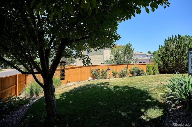2169 Fox Fire St, Highlands Ranch, CO 80129 - view of fenced backyard
