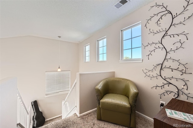 sitting room featuring carpet flooring, a textured ceiling, and vaulted ceiling