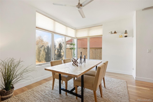 dining space featuring ceiling fan and light wood-type flooring