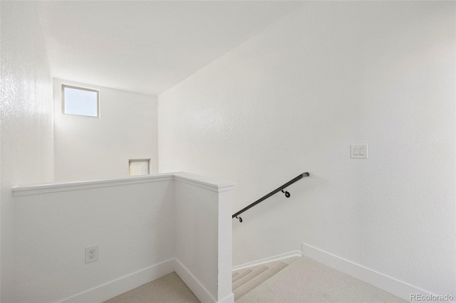 staircase with carpet floors