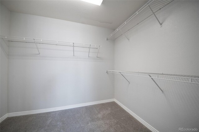 17235 Opal Hill Dr, Parker, CO 80134 - photo 18