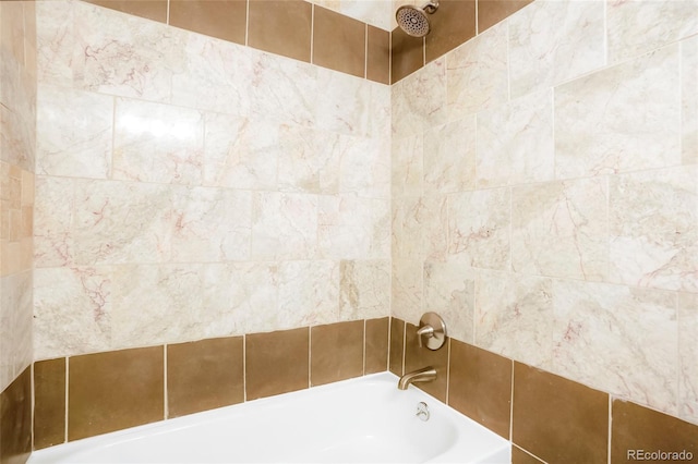 129 Gordon Pl, Castle Rock, CO 80104 - full bath featuring a bathing tub and a shower