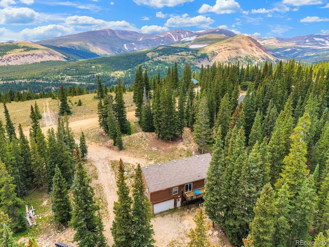 1167 Mountain View Dr, Fairplay, CO 80440 - photo 9